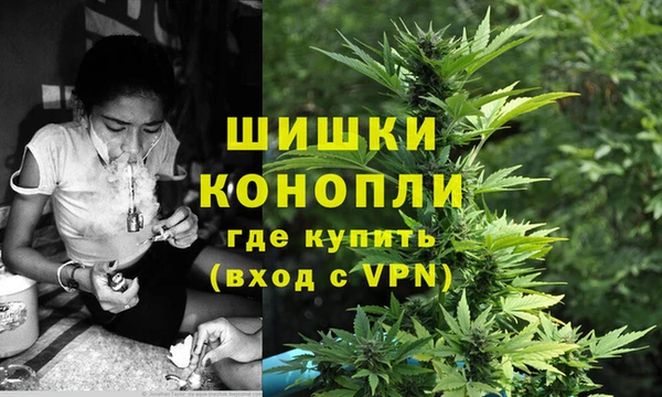 ешки Вяземский
