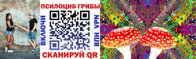Галлюциногенные грибы мухоморы  Купить  Кимовск 